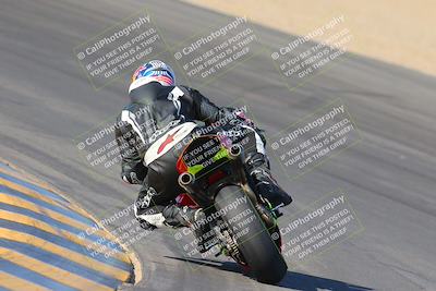 media/Nov-12-2023-SoCal Trackdays (Sun) [[5d1fba4e7d]]/Turn 10 Backside (115pm)/